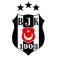 Besiktas Jimnastik Kulubu